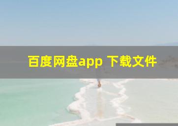 百度网盘app 下载文件